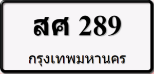 สศ289
