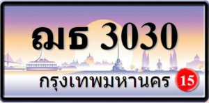 ฌธ3030