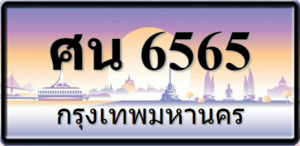 ศน6565