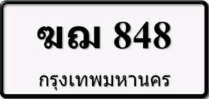 ฆฌ848